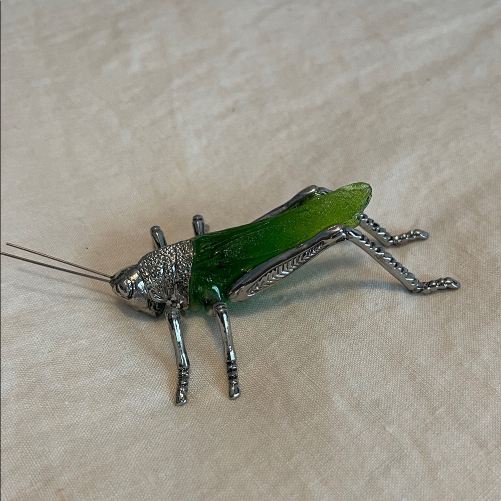 Green and Silver Grasshopper